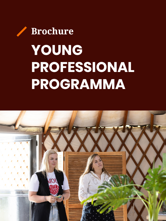 Brochure Young Professional Programma Orange8