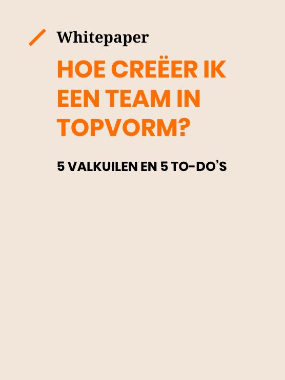 Whitepaper Hoe creeer ik een team in topvorm? 5 valkuilen en 5 to-do's